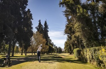 340344798_897337154655815_8733855781840232188_n